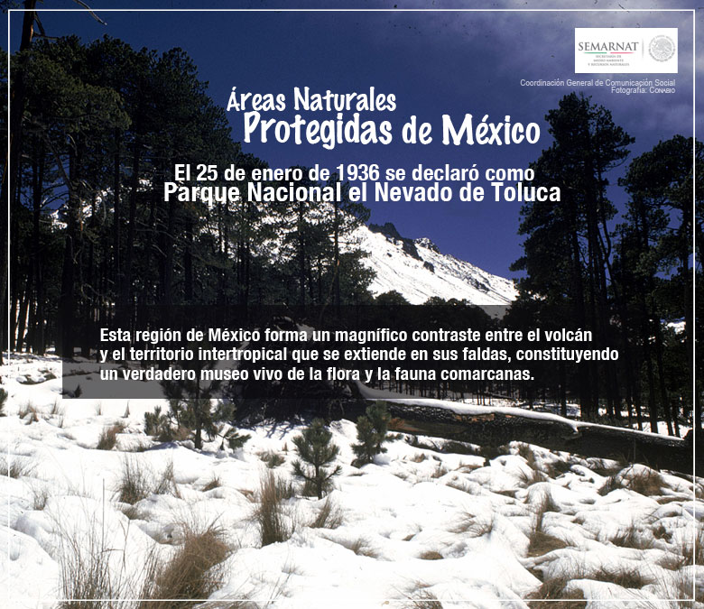 Creación de la Comisión Ambiental de la Megalópolis Creación de la Comisión Ambiental de la Megalópolis